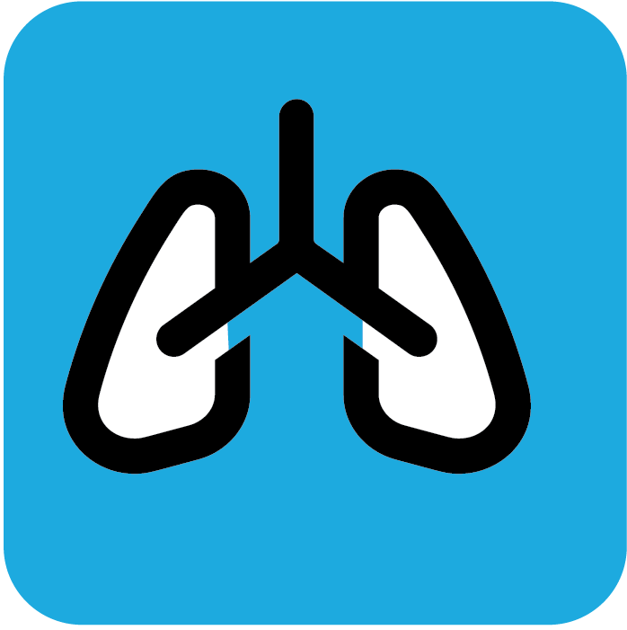 Lungs icon icon