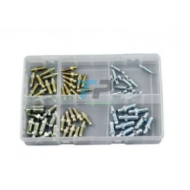 Assorted Box Of Brake Bleed Screws