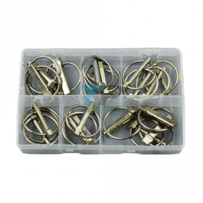 Assorted Box Of Linch Pins 20PCS